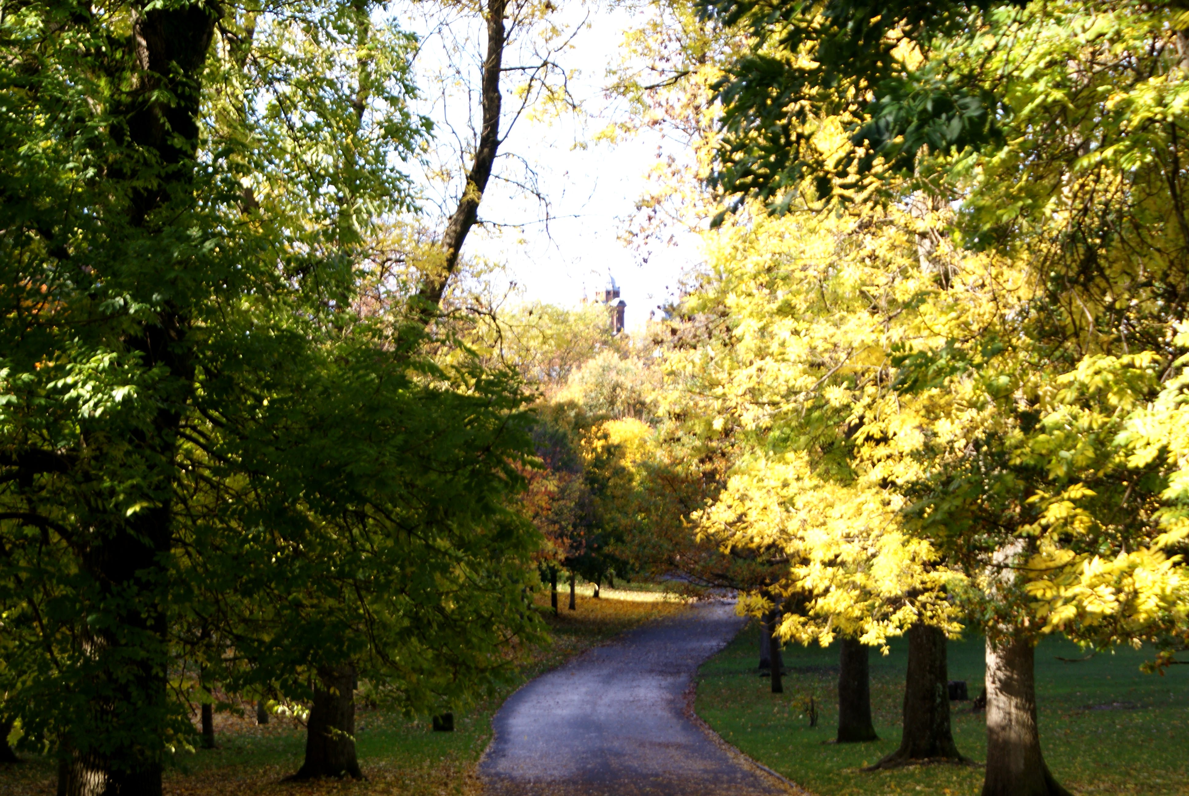 Kelvingrove