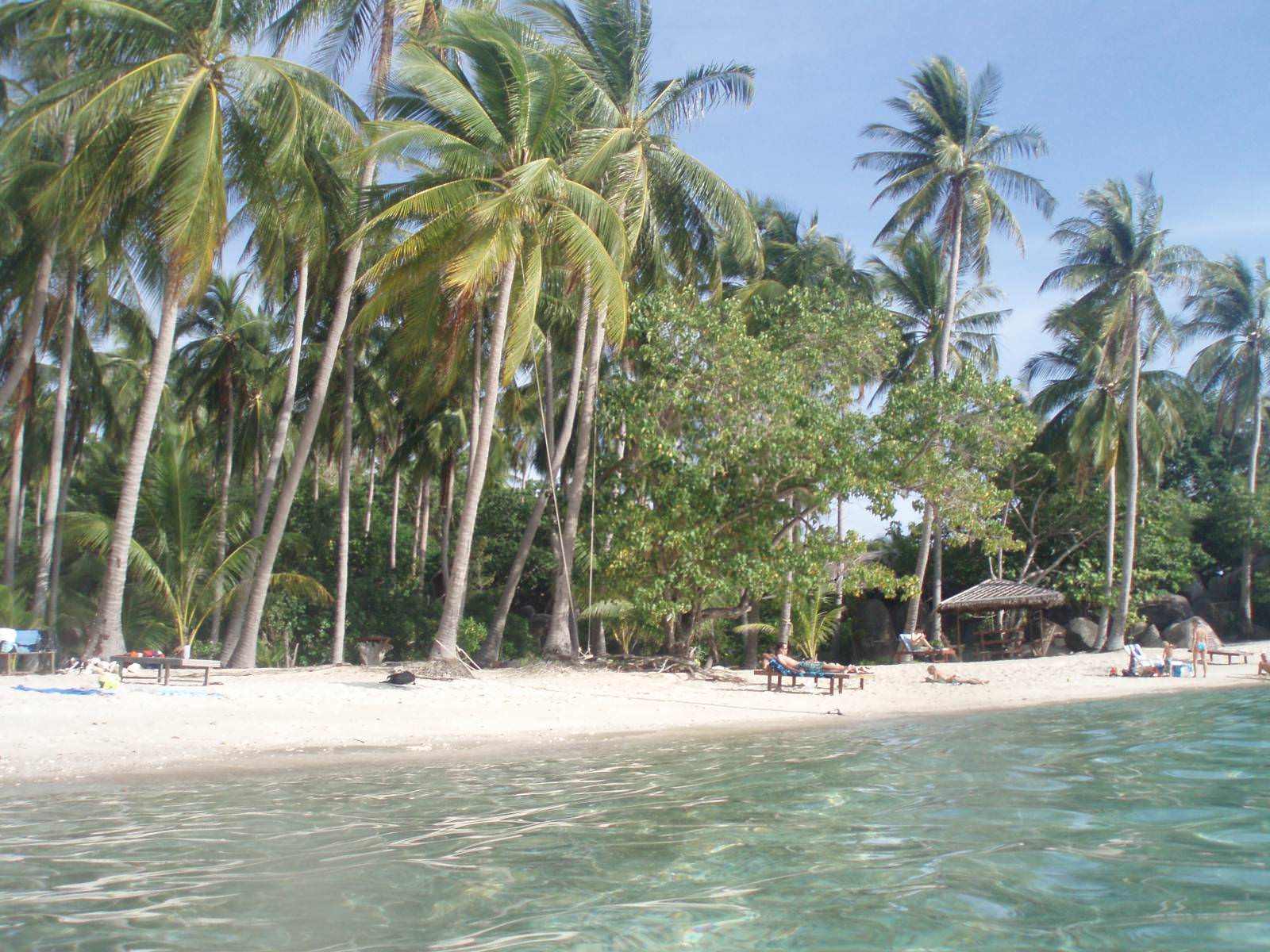 koh tao