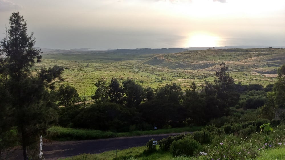 Kohala Mountain Road 1