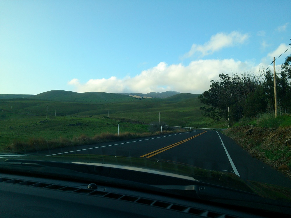 Kohala Mountain Road 2