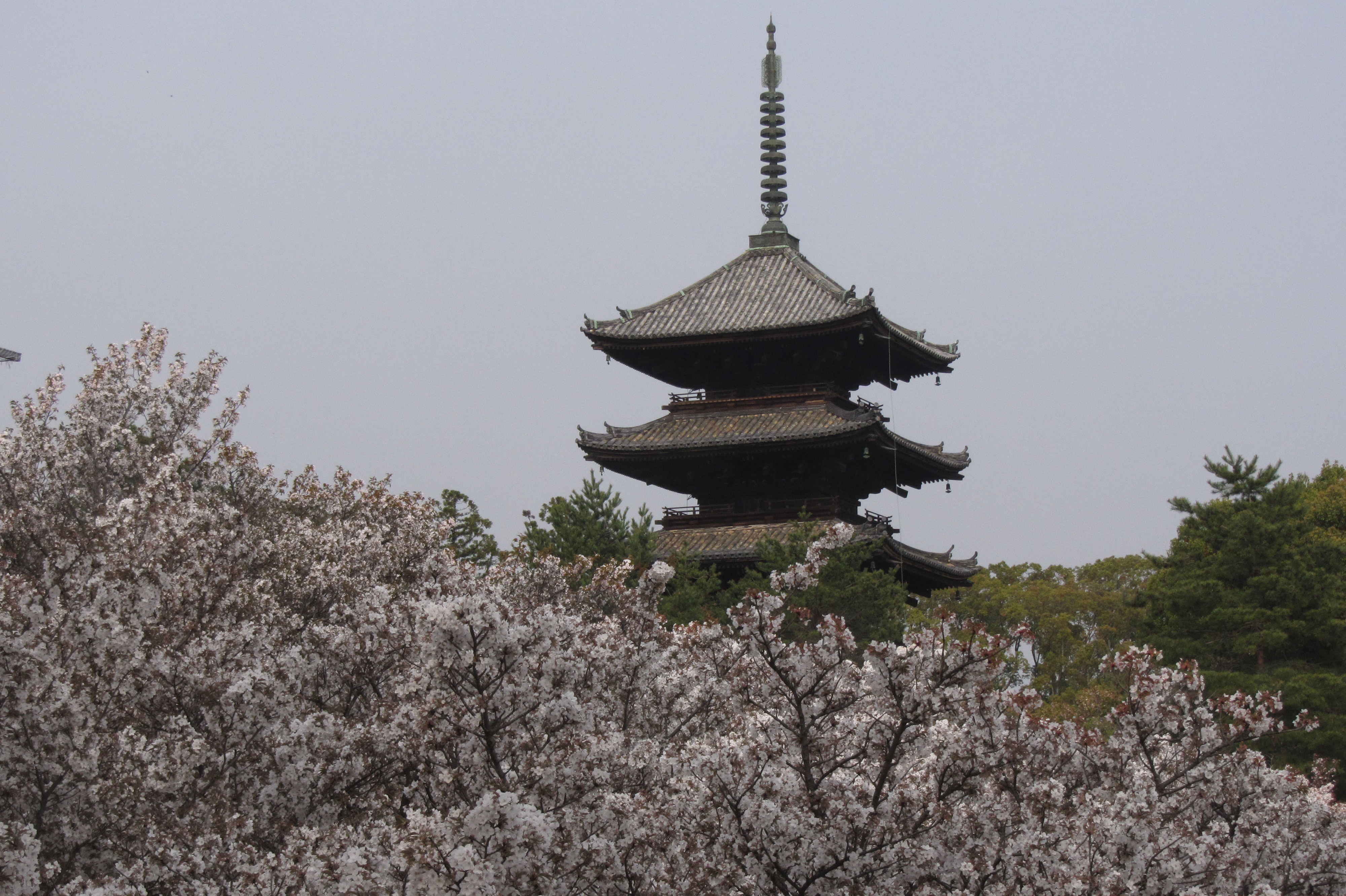 kyoto