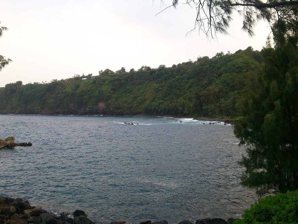 Laupahoehoe Point 1