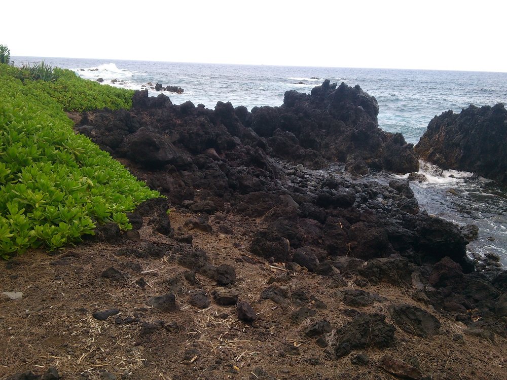 Laupahoehoe Point 2