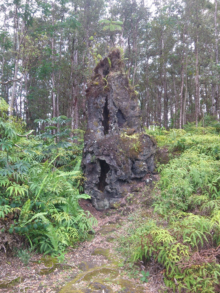 Lava Tree State Monument 2