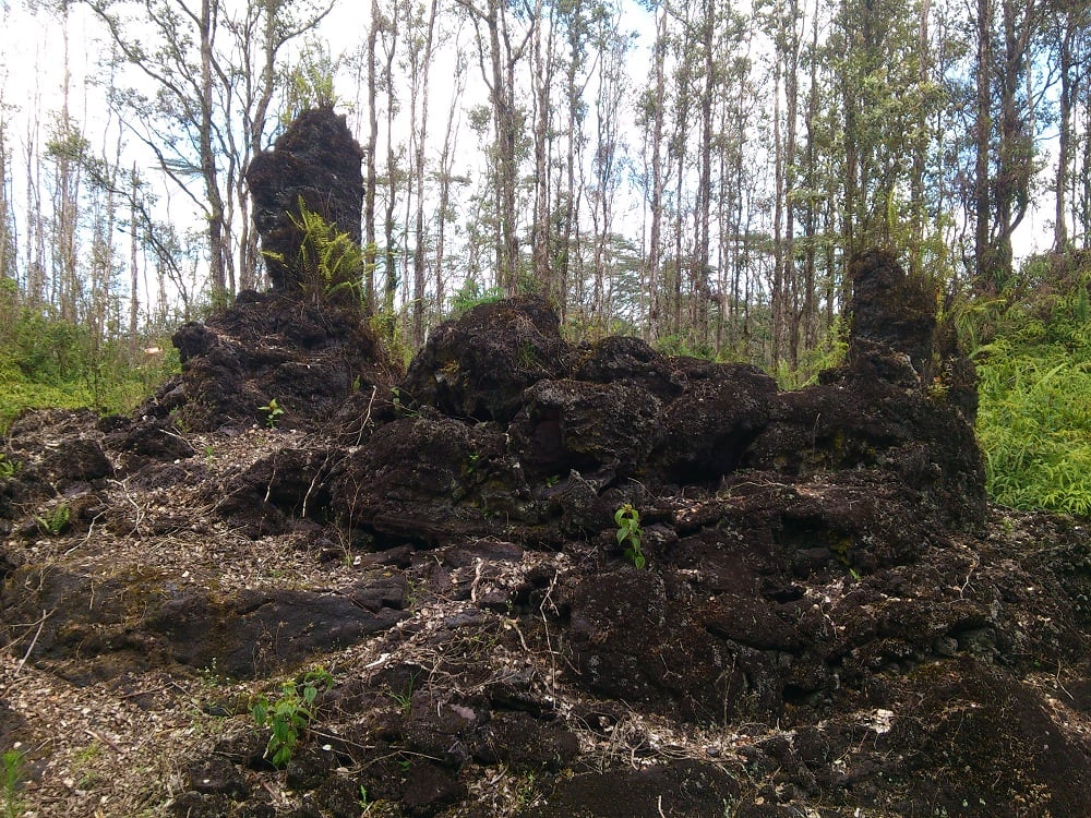 Lava Tree State Monument 3