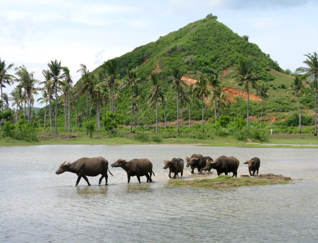 LOMBOK