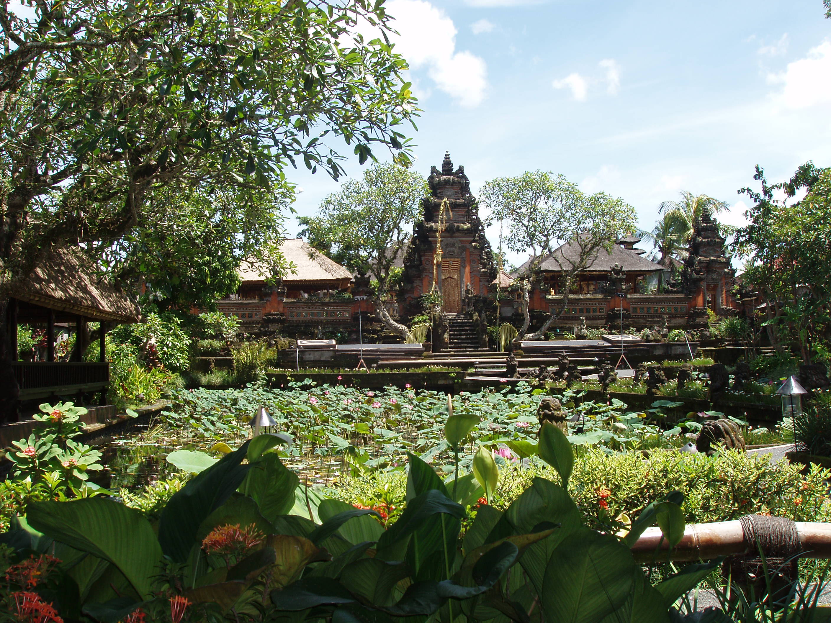 Lotus cafe - Ubud Bali