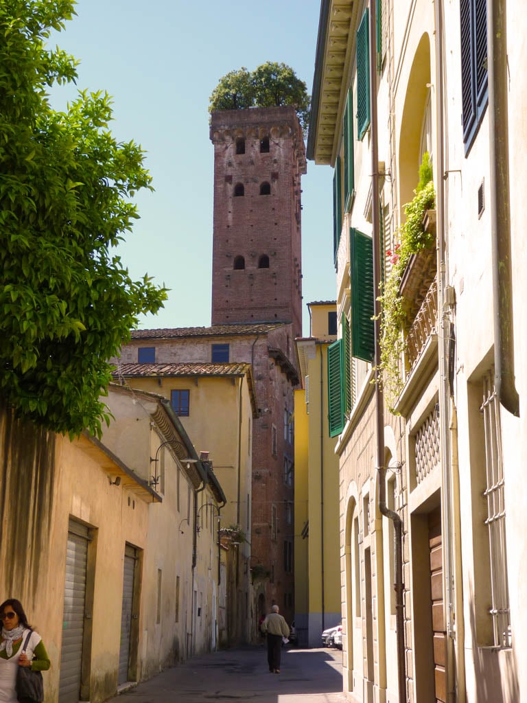 Lucca - Torre Guinigi