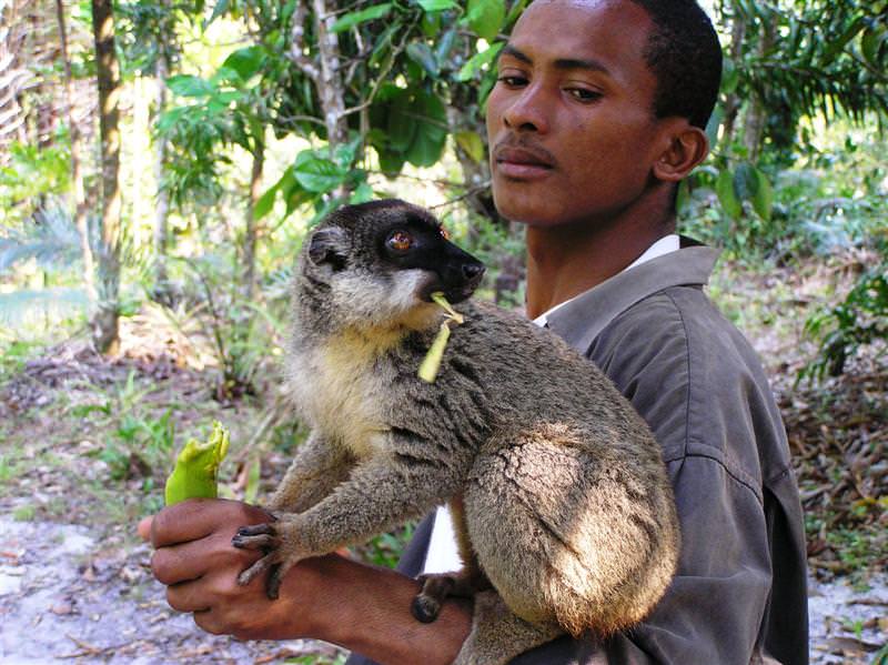 madagascar