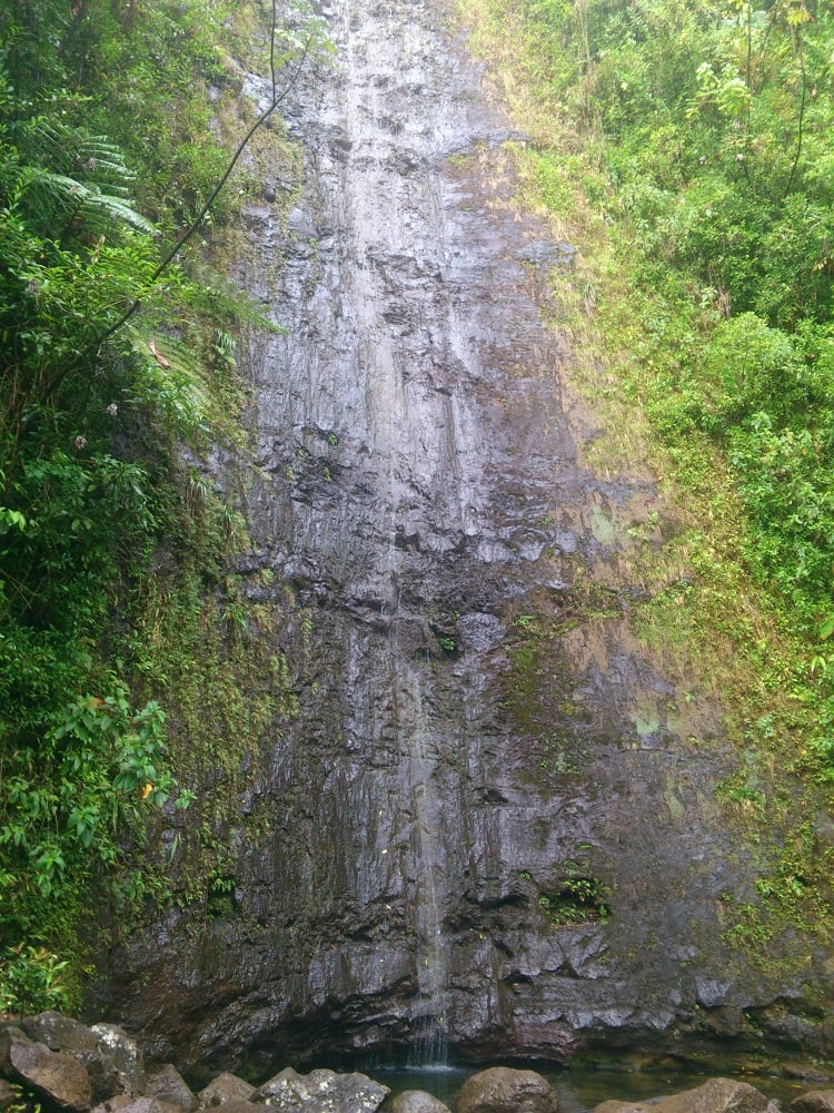 Manoa Falls 4