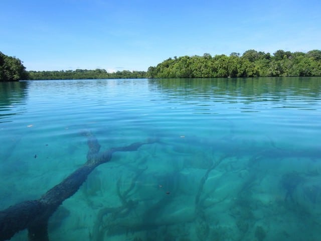 Marovo_Lagoon_8_