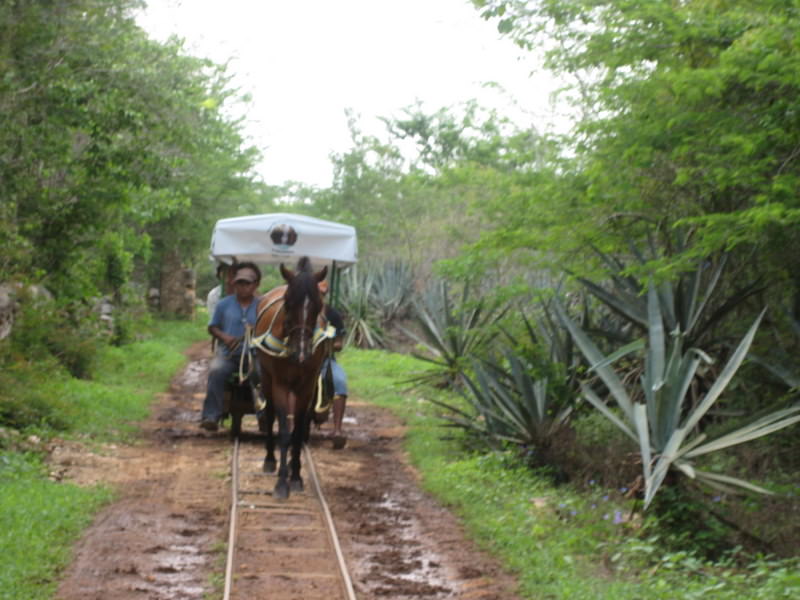 Merida, cenotes road