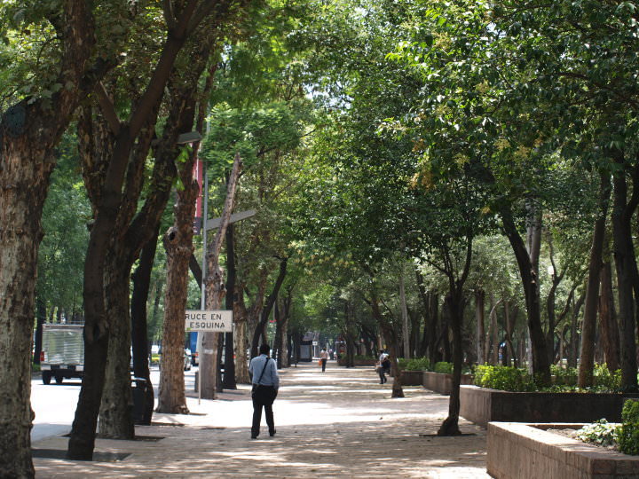 mexico_city_park