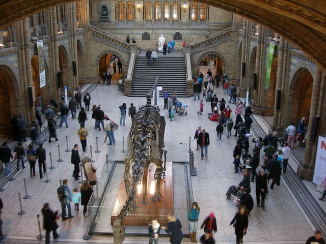 Natural History museum