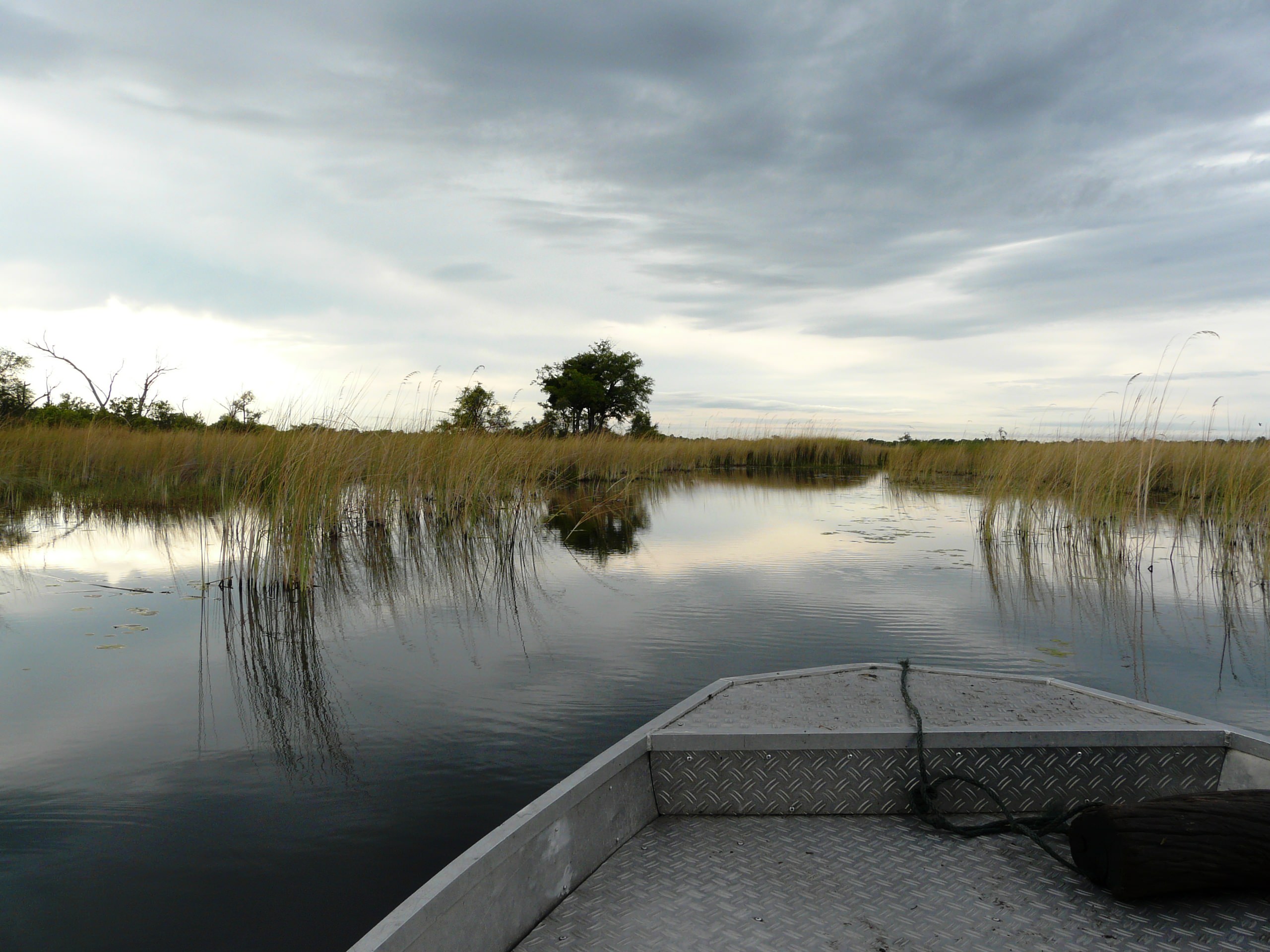 okavango