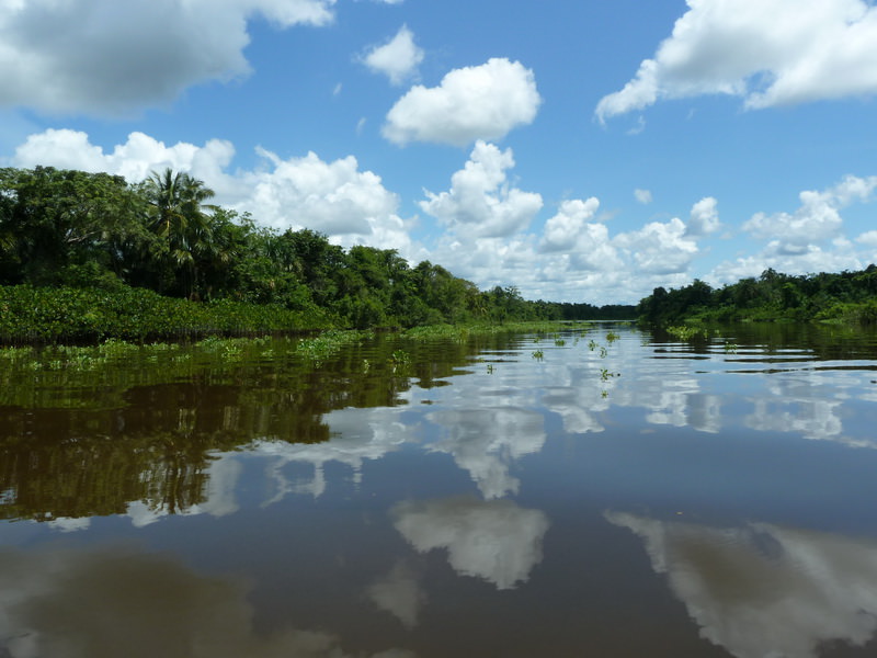 Orinoco Delta