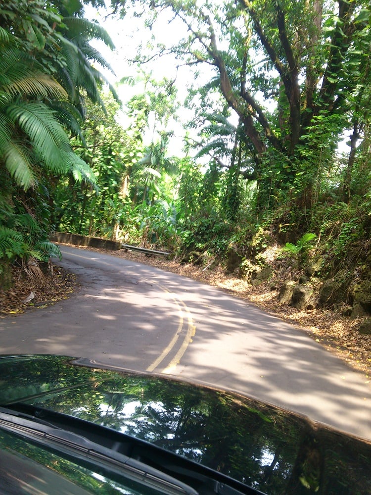 Papeekeo Scenic Drive 2