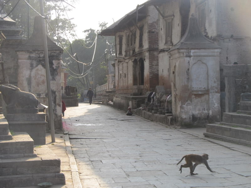 Pashupatinath