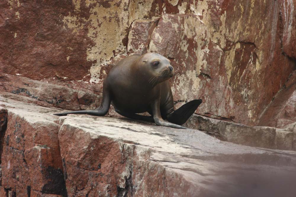 PERU