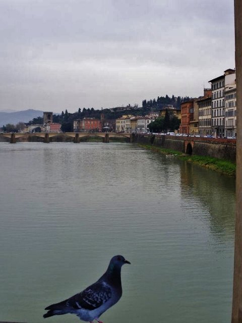 Ponte vechio -  Florence