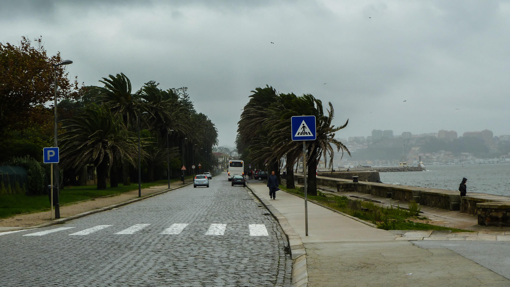 Porto - Avenida de Dom Carlos I