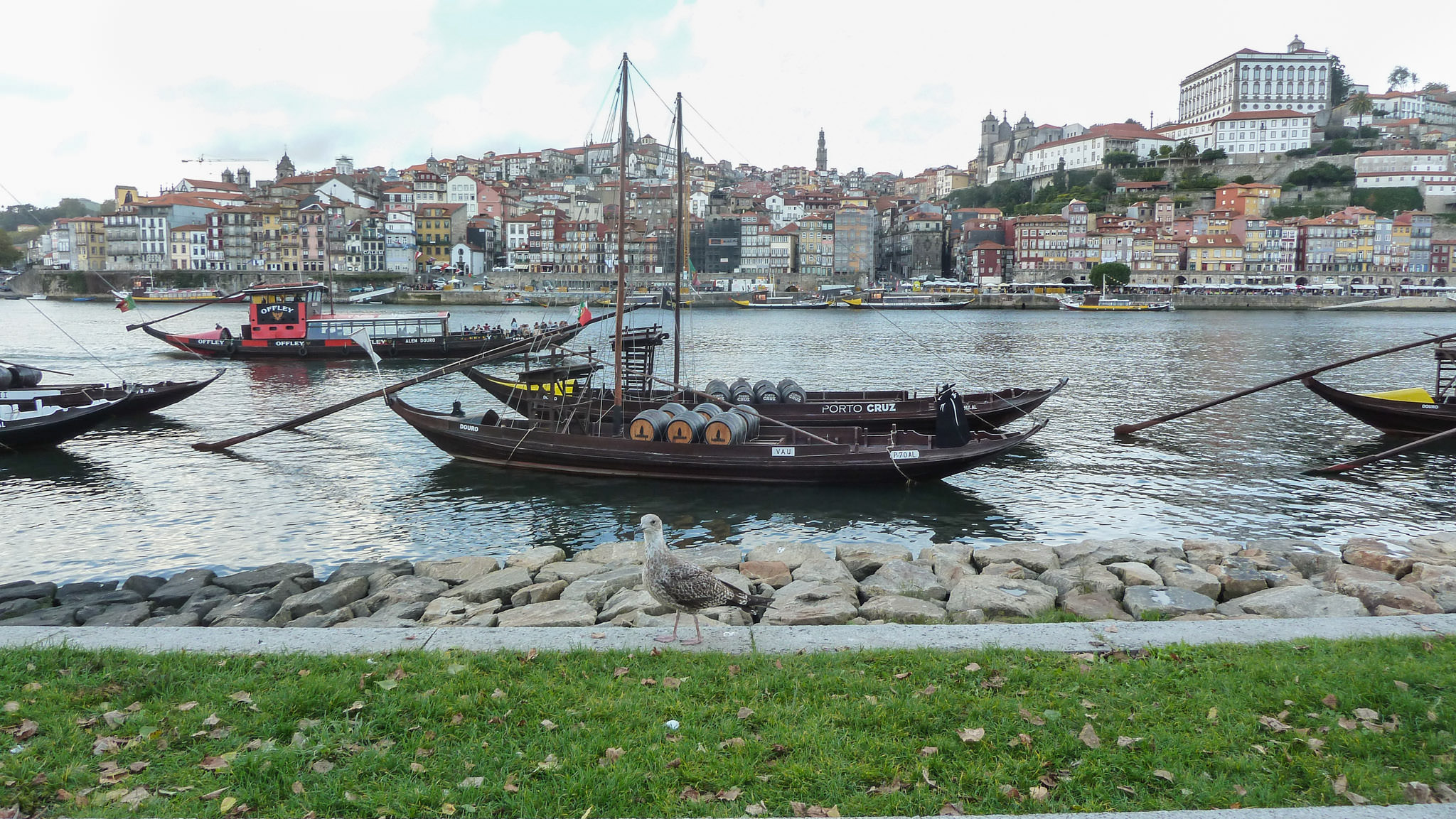 Porto from Ribeira De Gaia - Porto