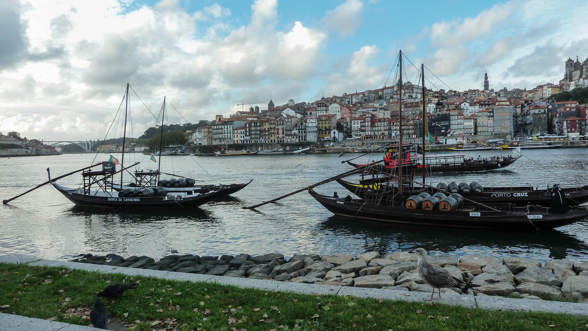 Porto from Ribeira De Gaia - Porto