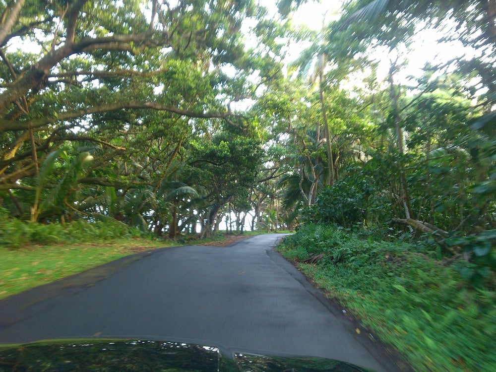 Puna Scenic Route 2