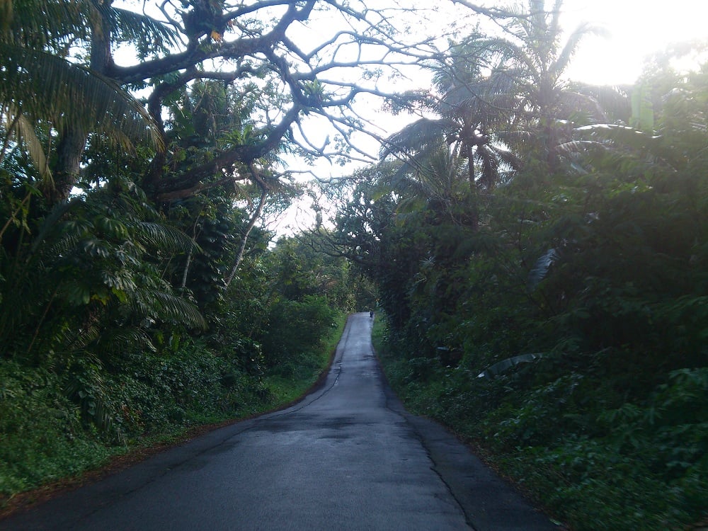 Puna Scenic Route 3