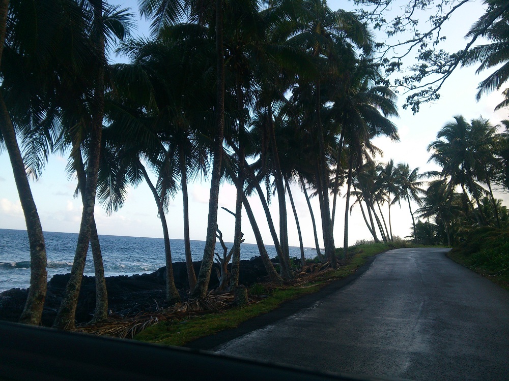 Puna Scenic Route 4