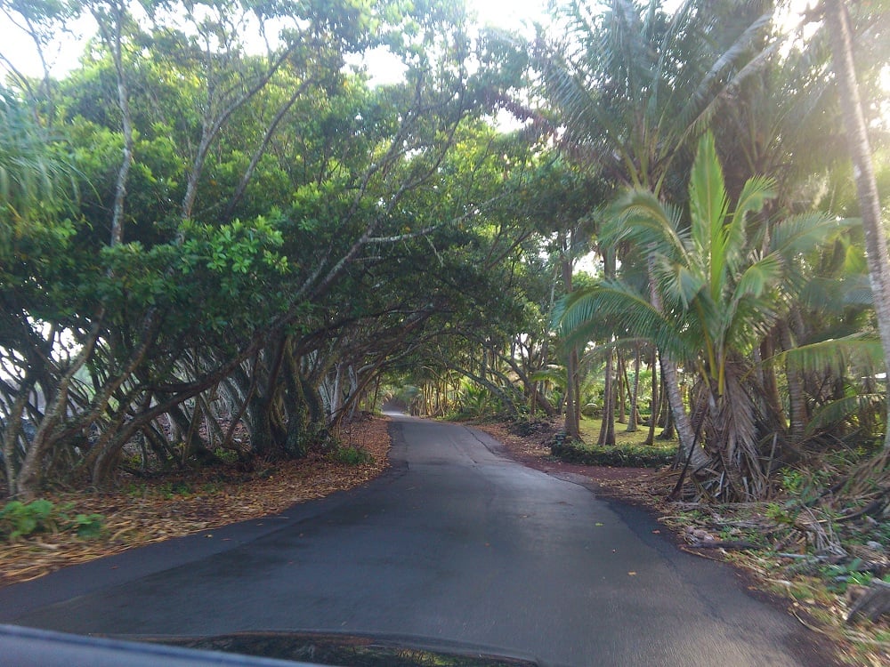 Puna Scenic Route 5