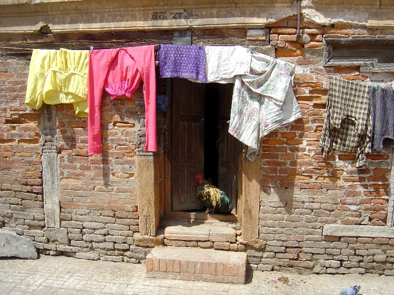 Rooster's Home (Nepal, Kathmandu)