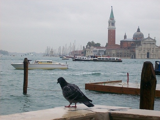S.Marco - Venezia
