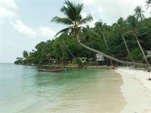 Salad Beach