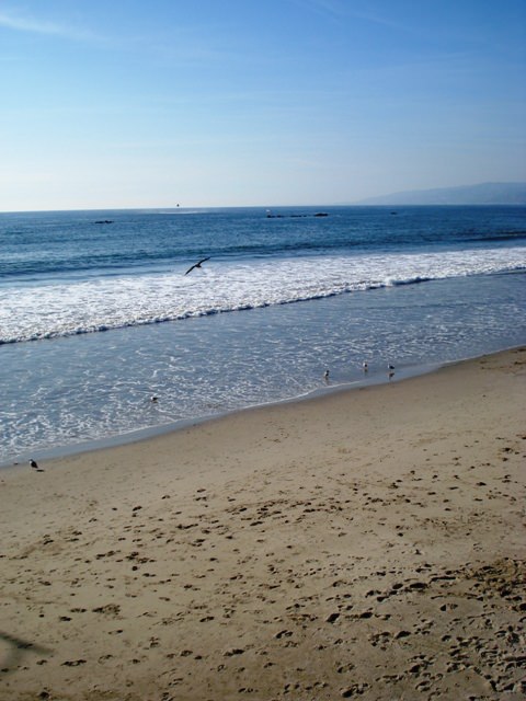 Santa Monica beach