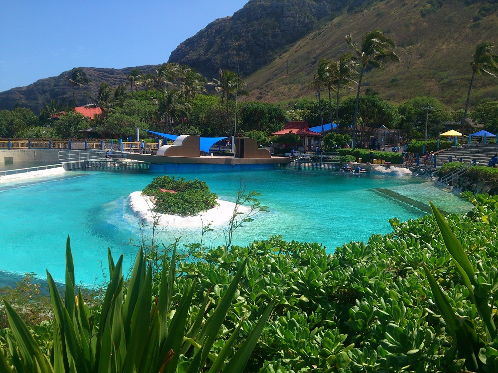 Sea Life Park - Dolphin Tank