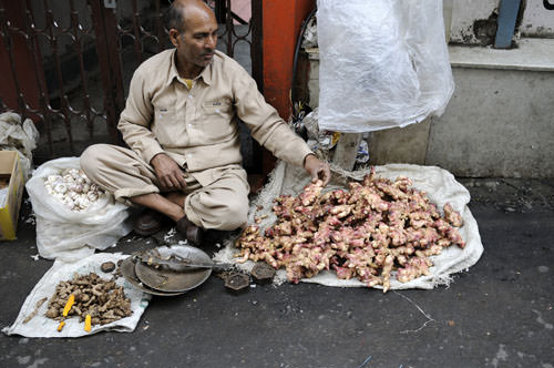 Shimla-India