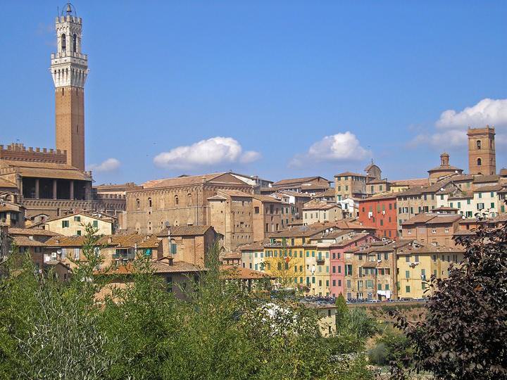 SIENA (TOSCANA)