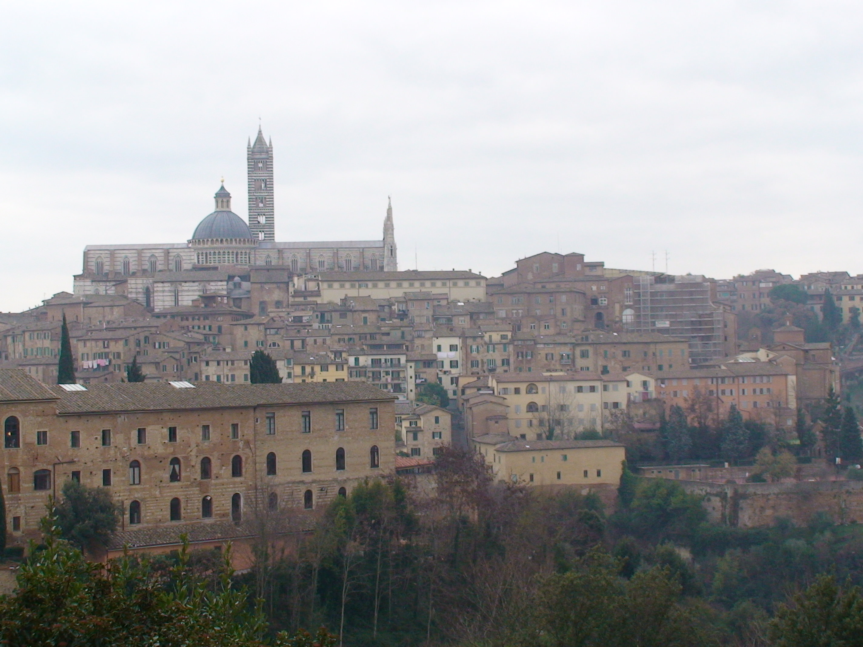 Siena