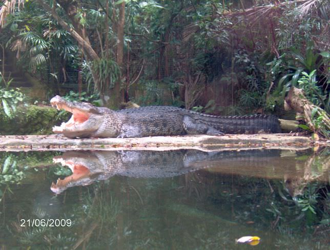 Singapore zoo