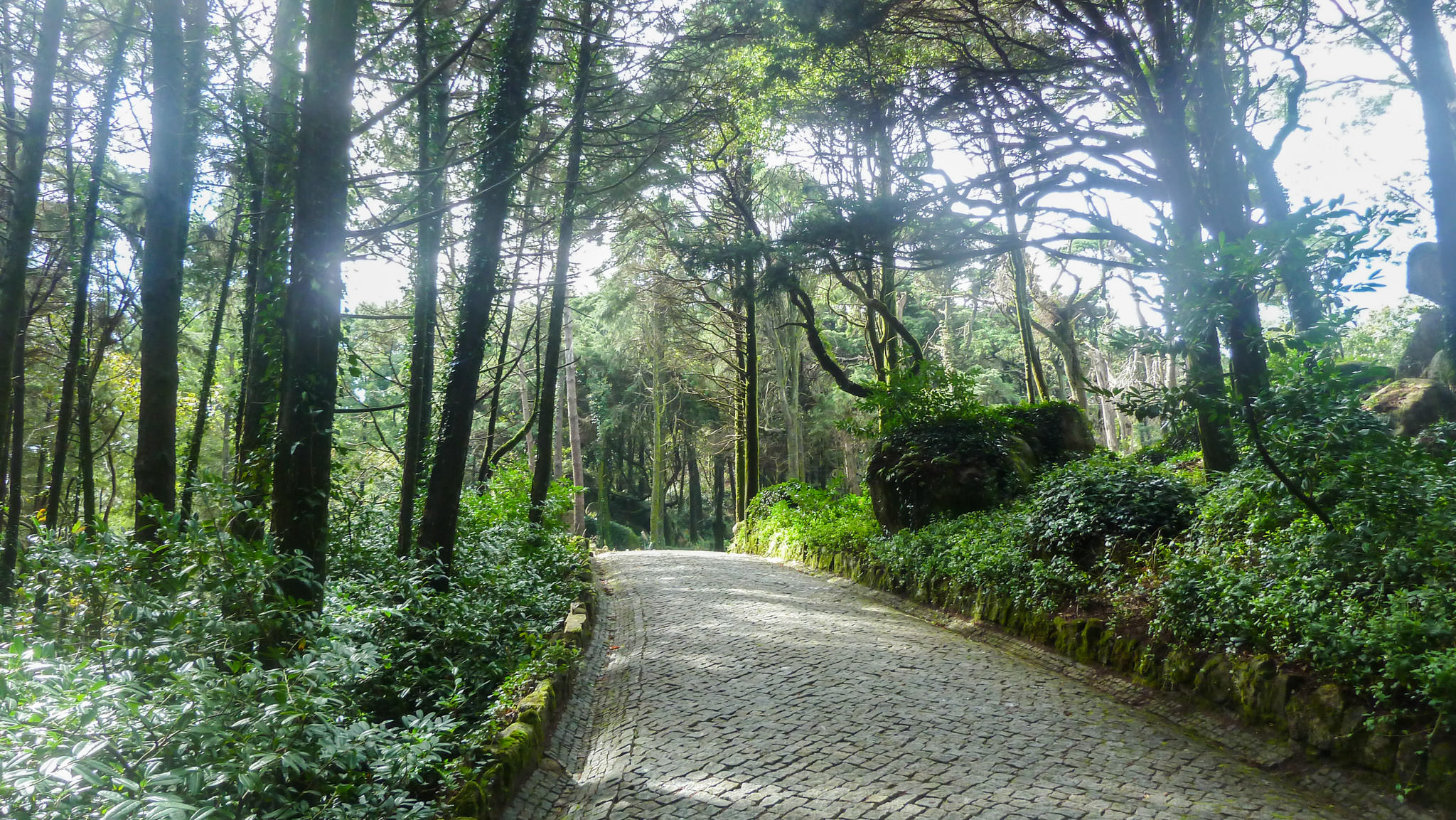 Sintra Natural Park