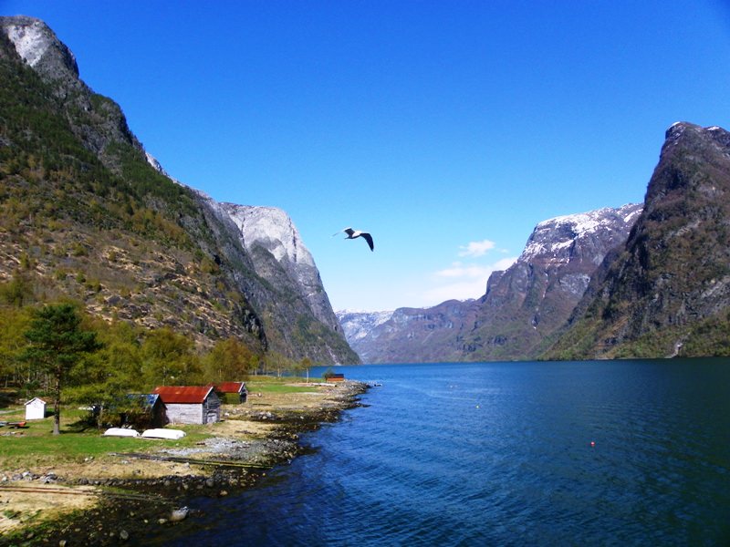 Sognefjord