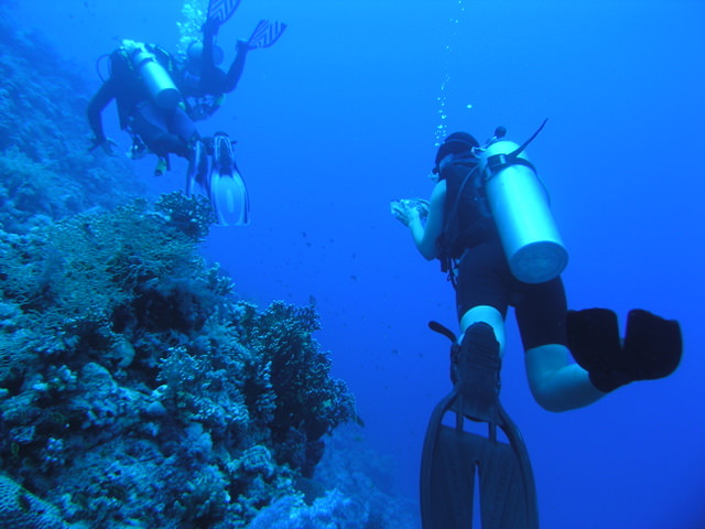 south red sea-saint johns reefs