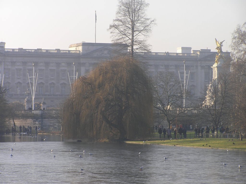 St. James's  Park - Buckingham Palace