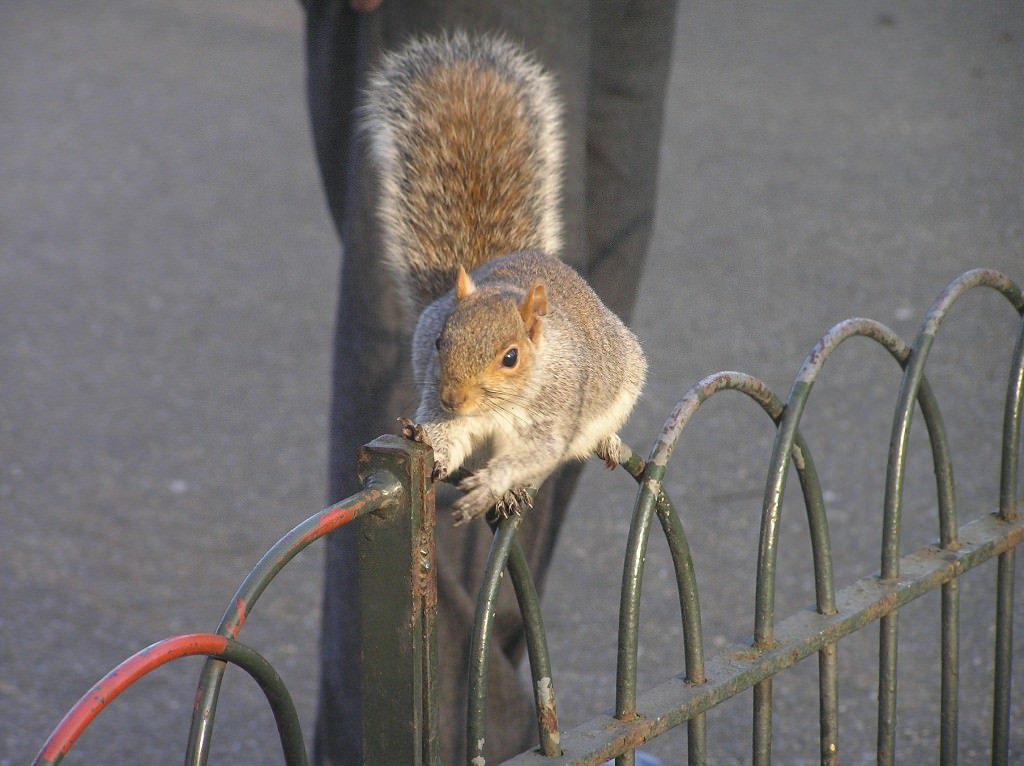 St. James's Park