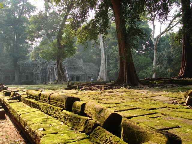 Ta Prohm, Καμπότζη