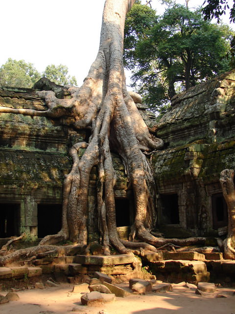 Ta Prohm, Καμπότζη