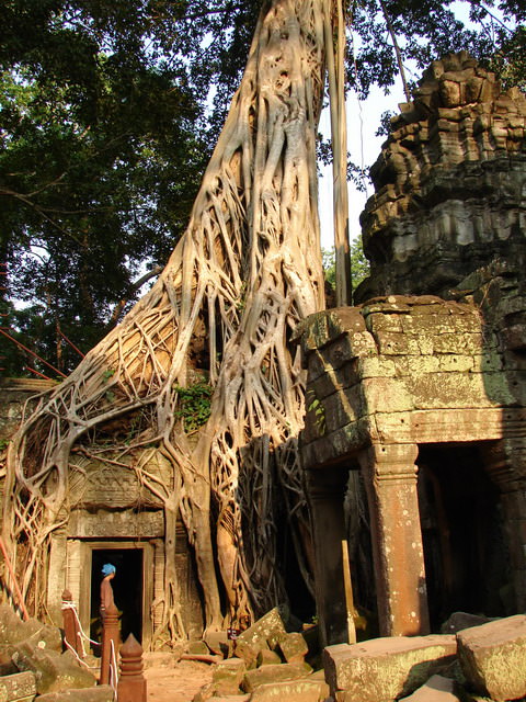 Ta Prohm, Καμπότζη