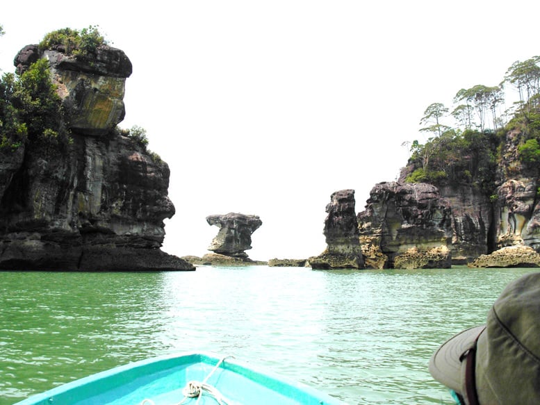 Telok Pandan, εθνικό πάρκο Μπάκο, Sarawak Borneo