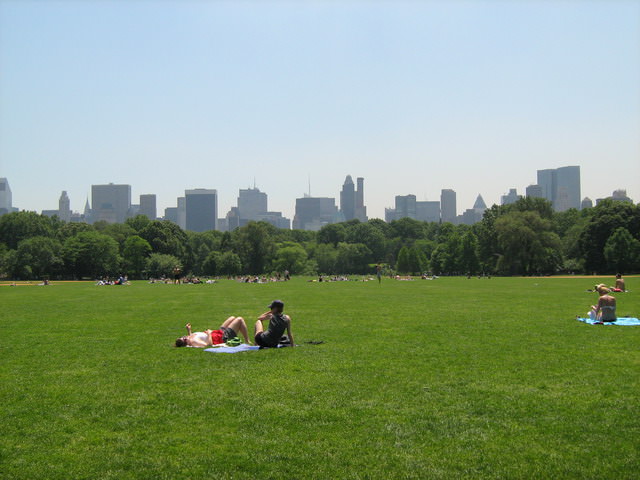 The Great Lawn, Central Park